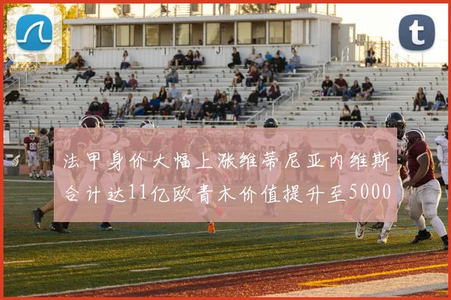 法甲身价大幅上涨维蒂尼亚内维斯合计达11亿欧青木价值提升至5000万