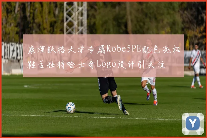 康涅狄格大学专属Kobe5PE配色亮相鞋舌独特哈士奇Logo设计引关注