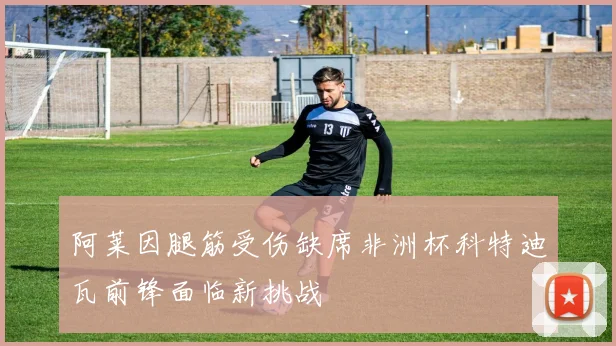 阿莱因腿筋受伤缺席非洲杯科特迪瓦前锋面临新挑战