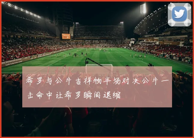 希罗与公牛吉祥物半场对决公牛一击命中让希罗瞬间退缩