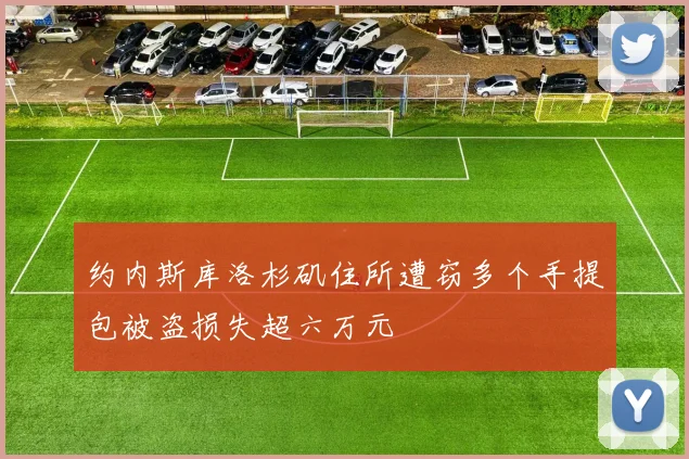 约内斯库洛杉矶住所遭窃多个手提包被盗损失超六万元