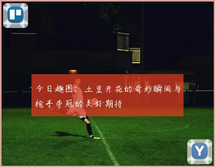 今日趣图：土豆开花的奇妙瞬间与枪手夺冠的美好期待
